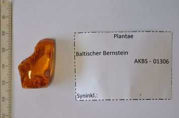 Vorschaubild Bernstein m. Blatt